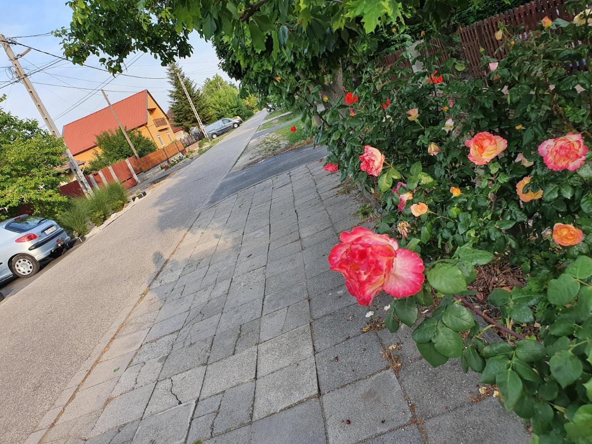 Airport Luxury Apartman 42 Vecsés Zewnętrze zdjęcie